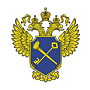 Федеральная служба финансово-бюджетного надзора