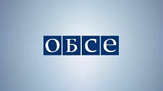 Организация по безопасности и сотрудничеству в Европе (ОБСЕ)