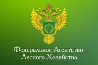 ФЕДЕРАЛЬНОЕ ГОСУДАРСТВЕННОЕ КАЗЕННОЕ УЧРЕЖДЕНИЕ "РОСЛЕСРЕСУРС"